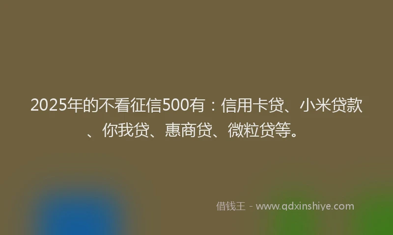 2025年的不看征信500有：信用卡贷、小米贷款、你我贷、惠商贷、微粒贷等。