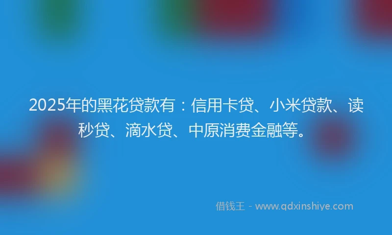 2025年的黑花贷款有：信用卡贷、小米贷款、读秒贷、滴水贷、中原消费金融等。