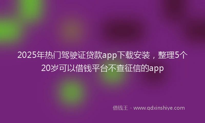 2025年热门驾驶证贷款app下载安装，整理5个20岁可以借钱平台不查征信的app