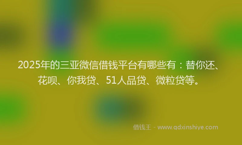 2025年的三亚微信借钱平台有哪些有：替你还、花呗、你我贷、51人品贷、微粒贷等。