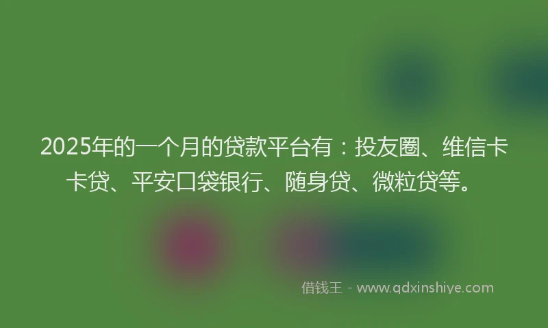 2025年的一个月的贷款平台有：投友圈、维信卡卡贷、平安口袋银行、随身贷、微粒贷等。