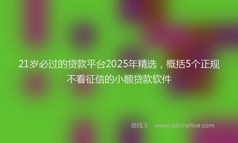 21岁必过的贷款平台2025年精选，概括5个正规不看征信的小额贷款软件
