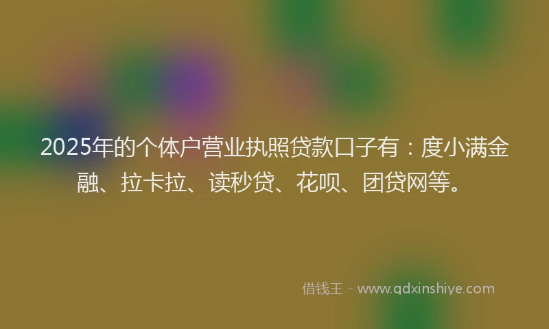 2025年的个体户营业执照贷款口子有：度小满金融、拉卡拉、读秒贷、花呗、团贷网等。