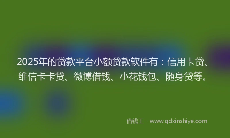 2025年的贷款平台小额贷款软件有：信用卡贷、维信卡卡贷、微博借钱、小花钱包、随身贷等。