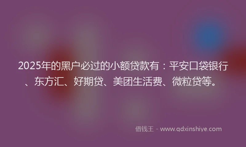 2025年的黑户必过的小额贷款有：平安口袋银行、东方汇、好期贷、美团生活费、微粒贷等。