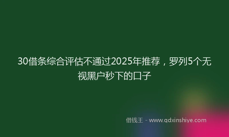 30借条综合评估不通过2025年推荐，罗列5个无视黑户秒下的口子