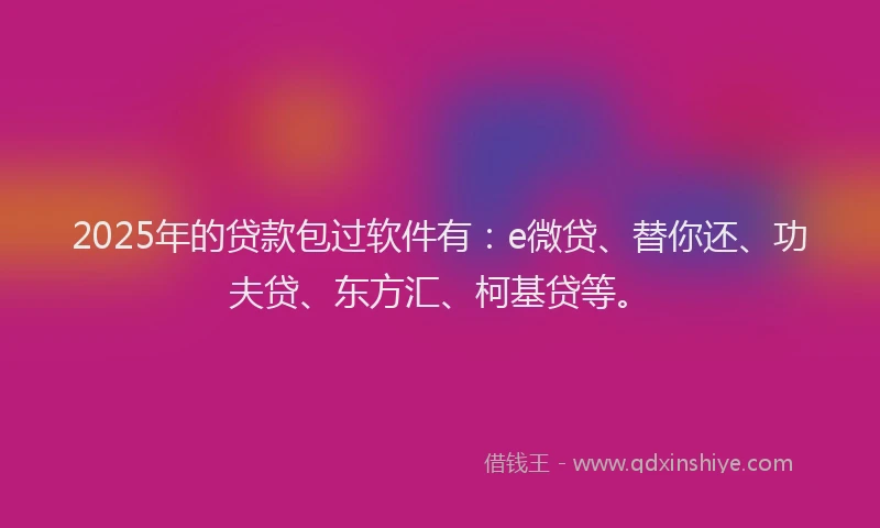 2025年的贷款包过软件有：e微贷、替你还、功夫贷、东方汇、柯基贷等。