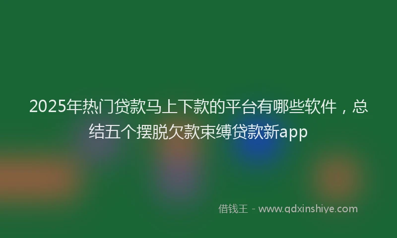 2025年热门贷款马上下款的平台有哪些软件，总结五个摆脱欠款束缚贷款新app
