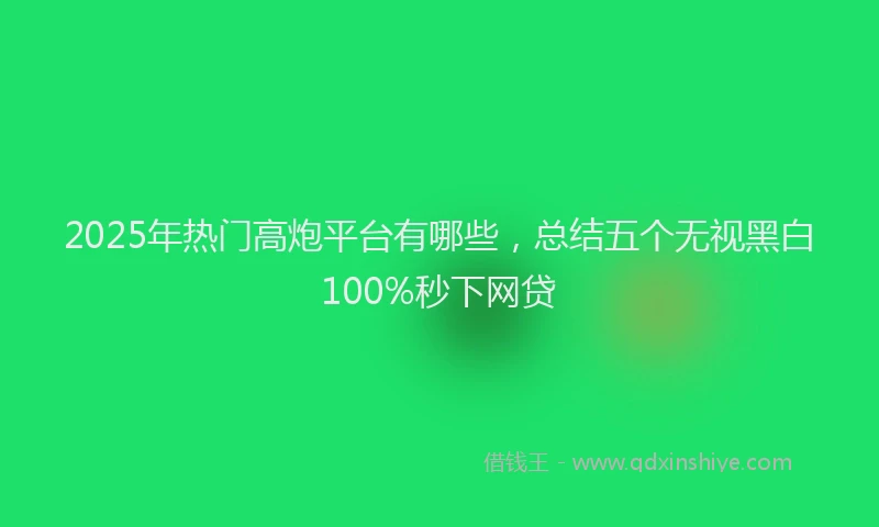 2025年热门高炮平台有哪些，总结五个无视黑白100%秒下网贷