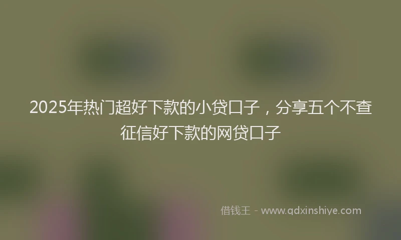 2025年热门超好下款的小贷口子，分享五个不查征信好下款的网贷口子