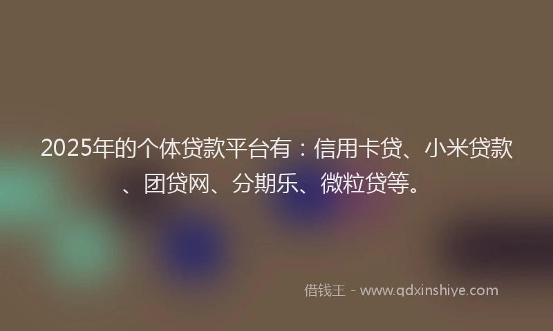 2025年的个体贷款平台有：信用卡贷、小米贷款、团贷网、分期乐、微粒贷等。