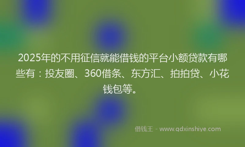 2025年的不用征信就能借钱的平台小额贷款有哪些有：投友圈、360借条、东方汇、拍拍贷、小花钱包等。