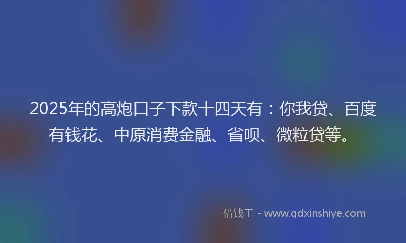2025年的高炮口子下款十四天有：你我贷、百度有钱花、中原消费金融、省呗、微粒贷等。
