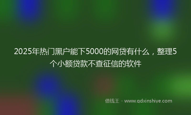2025年热门黑户能下5000的网贷有什么，整理5个小额贷款不查征信的软件