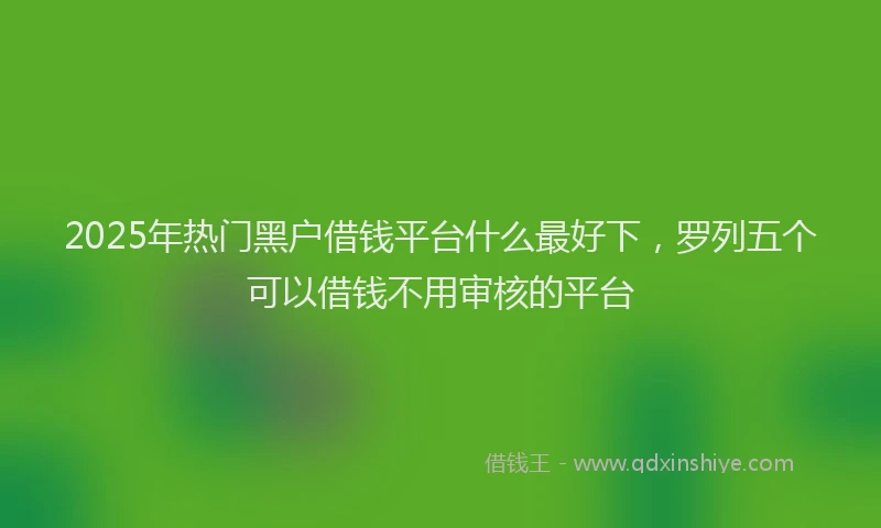 2025年热门黑户借钱平台什么最好下，罗列五个可以借钱不用审核的平台