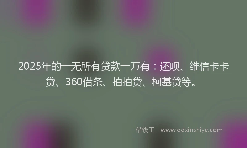 2025年的一无所有贷款一万有：还呗、维信卡卡贷、360借条、拍拍贷、柯基贷等。