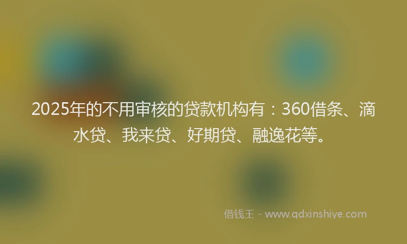 2025年的不用审核的贷款机构有：360借条、滴水贷、我来贷、好期贷、融逸花等。