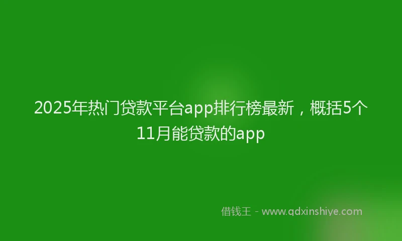 2025年热门贷款平台app排行榜最新，概括5个11月能贷款的app