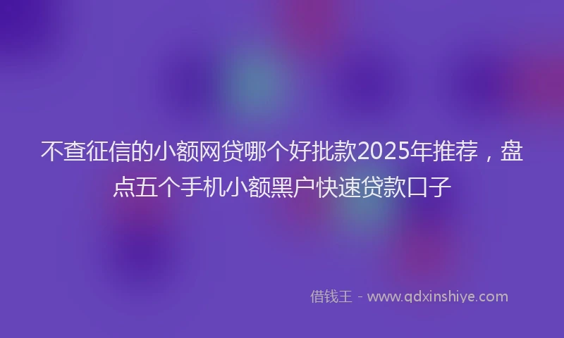 不查征信的小额网贷哪个好批款2025年推荐，盘点五个手机小额黑户快速贷款口子