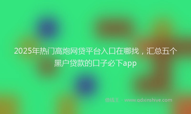 2025年热门高炮网贷平台入口在哪找，汇总五个黑户贷款的口子必下app