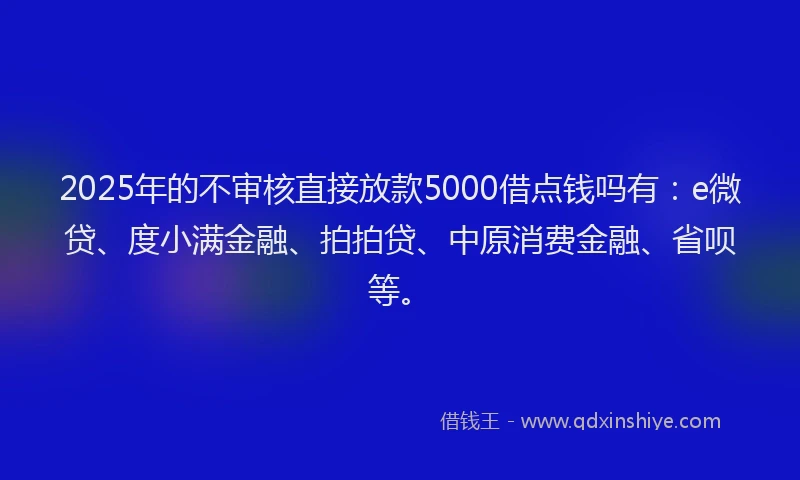 2025年的不审核直接放款5000借点钱吗有：e微贷、度小满金融、拍拍贷、中原消费金融、省呗等。