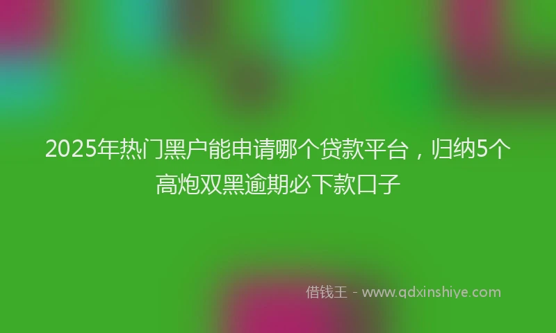2025年热门黑户能申请哪个贷款平台，归纳5个高炮双黑逾期必下款口子