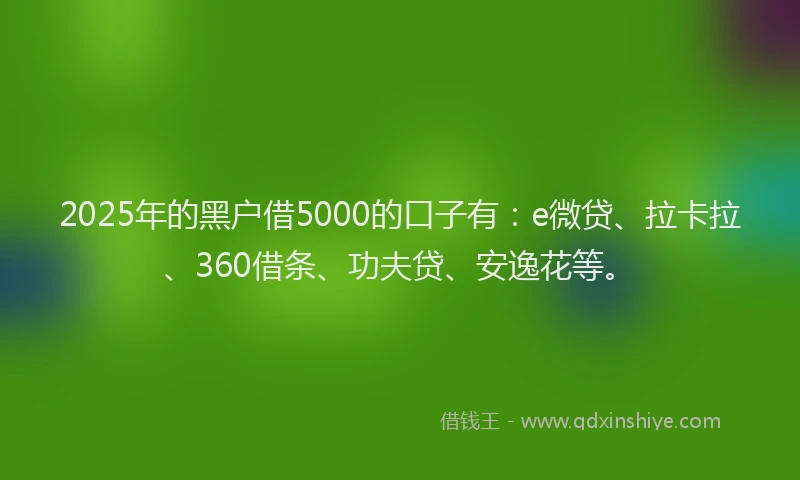 2025年的黑户借5000的口子有：e微贷、拉卡拉、360借条、功夫贷、安逸花等。