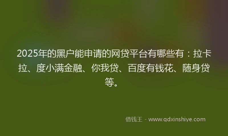 2025年的黑户能申请的网贷平台有哪些有：拉卡拉、度小满金融、你我贷、百度有钱花、随身贷等。