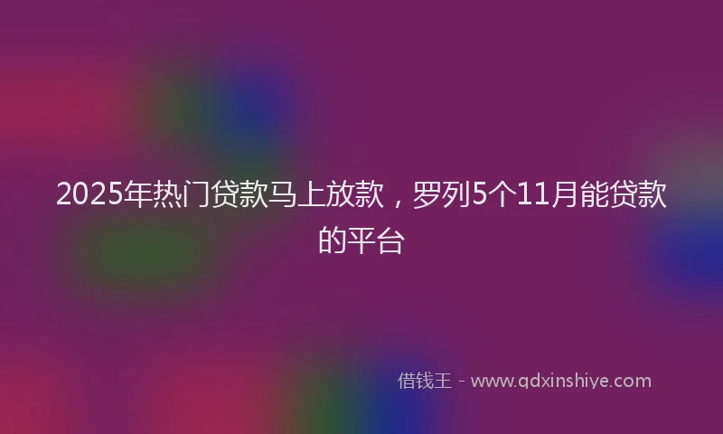 2025年热门贷款马上放款，罗列5个11月能贷款的平台