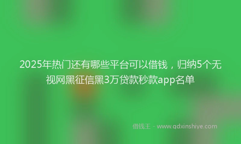 2025年热门还有哪些平台可以借钱，归纳5个无视网黑征信黑3万贷款秒款app名单