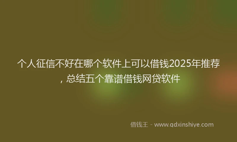 个人征信不好在哪个软件上可以借钱2025年推荐，总结五个靠谱借钱网贷软件