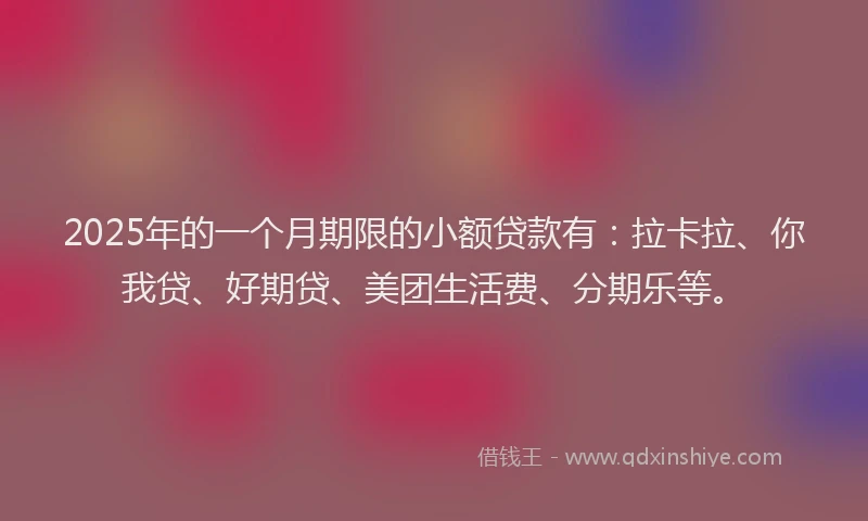2025年的一个月期限的小额贷款有：拉卡拉、你我贷、好期贷、美团生活费、分期乐等。