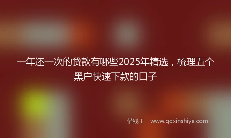 一年还一次的贷款有哪些2025年精选，梳理五个黑户快速下款的口子