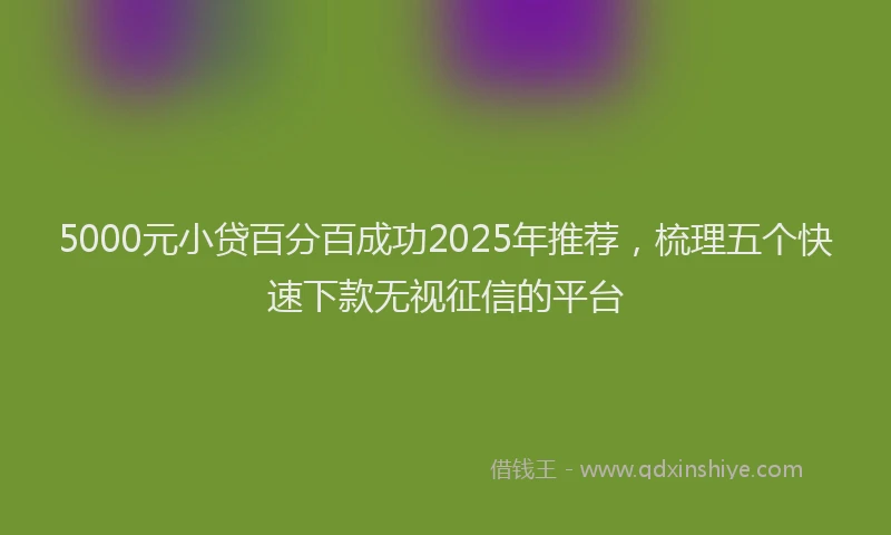 5000元小贷百分百成功2025年推荐，梳理五个快速下款无视征信的平台