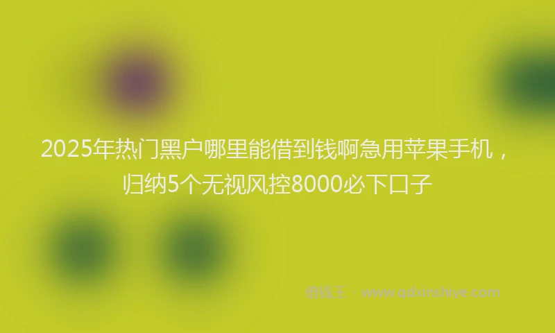 2025年热门黑户哪里能借到钱啊急用苹果手机，归纳5个无视风控8000必下口子