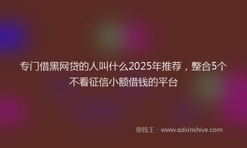 专门借黑网贷的人叫什么2025年推荐，整合5个不看征信小额借钱的平台