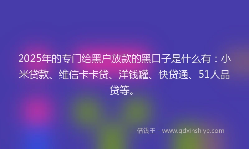 2025年的专门给黑户放款的黑口子是什么有：小米贷款、维信卡卡贷、洋钱罐、快贷通、51人品贷等。