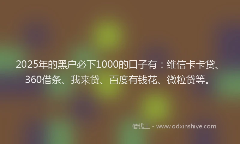 2025年的黑户必下1000的口子有：维信卡卡贷、360借条、我来贷、百度有钱花、微粒贷等。