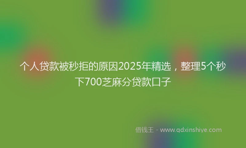 个人贷款被秒拒的原因2025年精选，整理5个秒下700芝麻分贷款口子