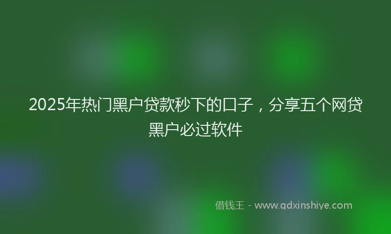 2025年热门黑户贷款秒下的口子，分享五个网贷黑户必过软件