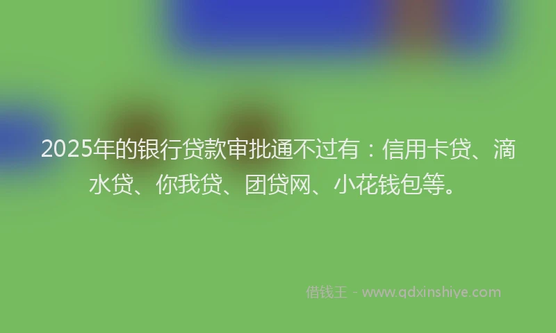 2025年的银行贷款审批通不过有：信用卡贷、滴水贷、你我贷、团贷网、小花钱包等。