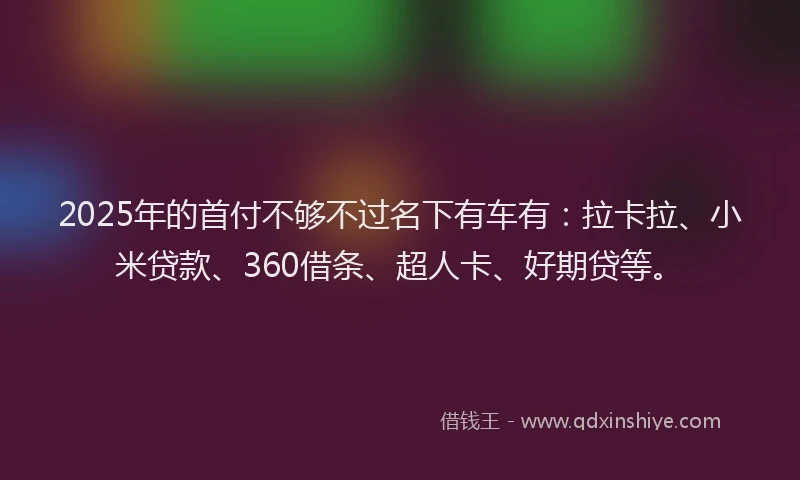 2025年的首付不够不过名下有车有：拉卡拉、小米贷款、360借条、超人卡、好期贷等。