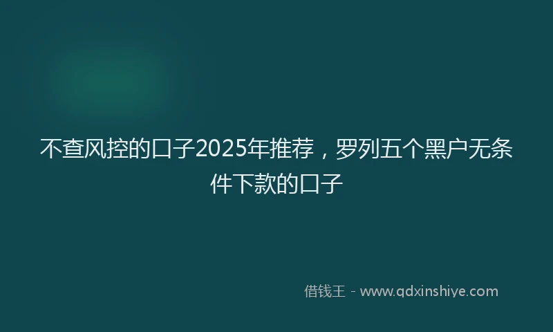 不查风控的口子2025年推荐，罗列五个黑户无条件下款的口子