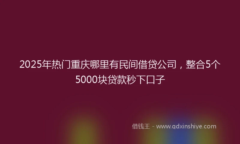 2025年热门重庆哪里有民间借贷公司，整合5个5000块贷款秒下口子