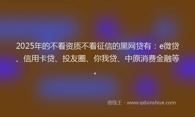 2025年的不看资质不看征信的黑网贷有：e微贷、信用卡贷、投友圈、你我贷、中原消费金融等。