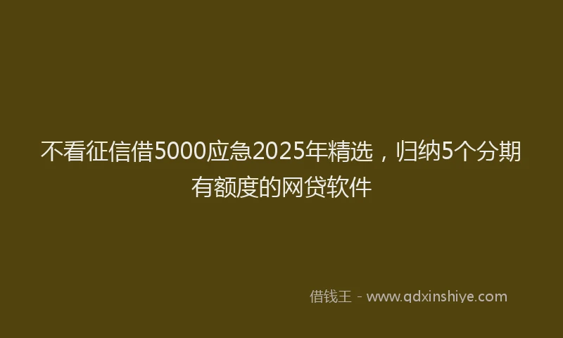 不看征信借5000应急2025年精选，归纳5个分期有额度的网贷软件