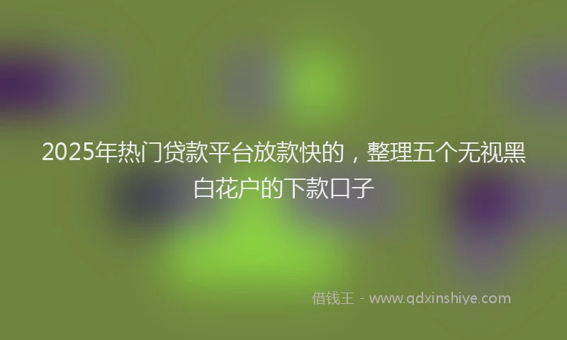 2025年热门贷款平台放款快的，整理五个无视黑白花户的下款口子