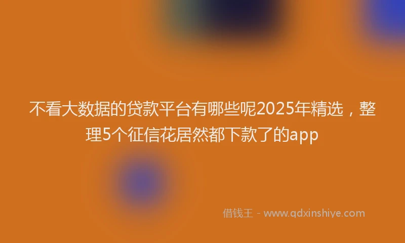 不看大数据的贷款平台有哪些呢2025年精选，整理5个征信花居然都下款了的app