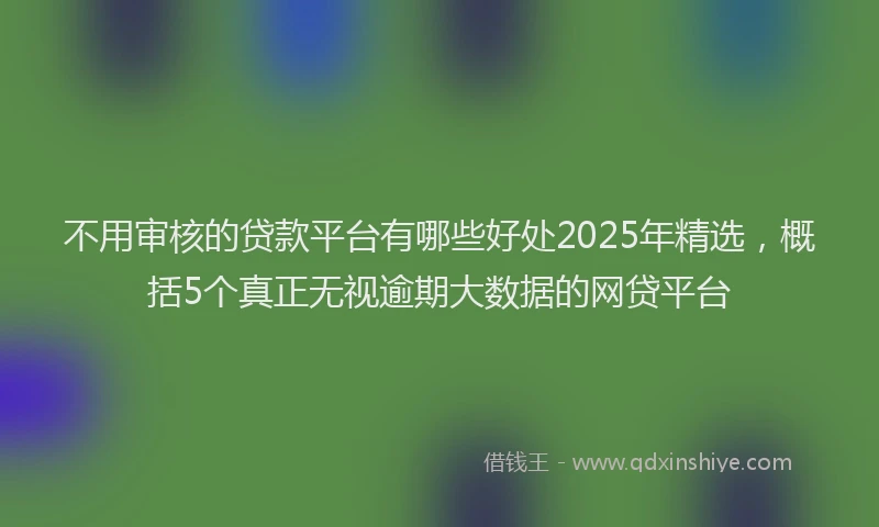 不用审核的贷款平台有哪些好处2025年精选，概括5个真正无视逾期大数据的网贷平台