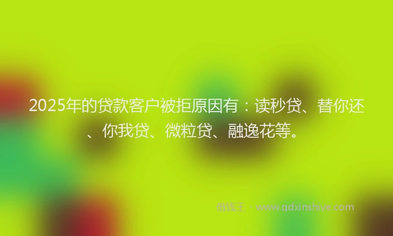 2025年的贷款客户被拒原因有：读秒贷、替你还、你我贷、微粒贷、融逸花等。
